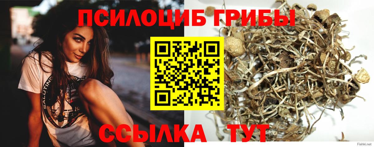 Галлюциногенные грибы GOLDEN TEACHER  Вход с VPN  Георгиевск 