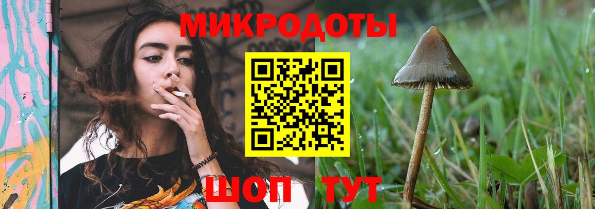 Псилоцибиновые грибы мицелий Георгиевск